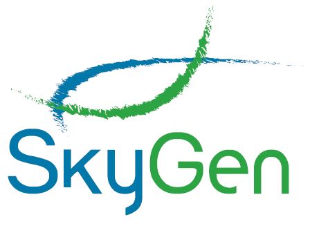 Логотип SkyGen